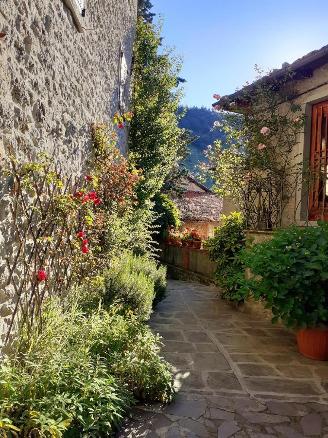 Albergo La Baita Corfino Luaran gambar